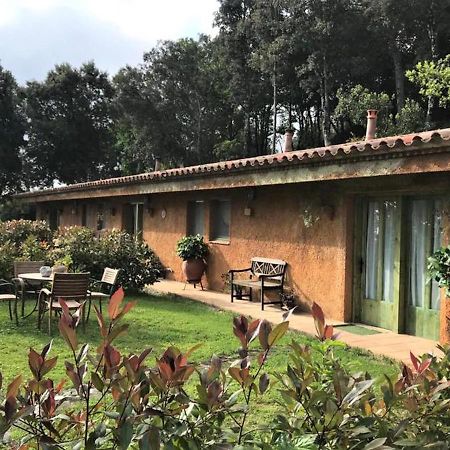 Aurora 2-Bed Cottage - Sleeps 4 - Montseny Park Arbúcies 외부 사진