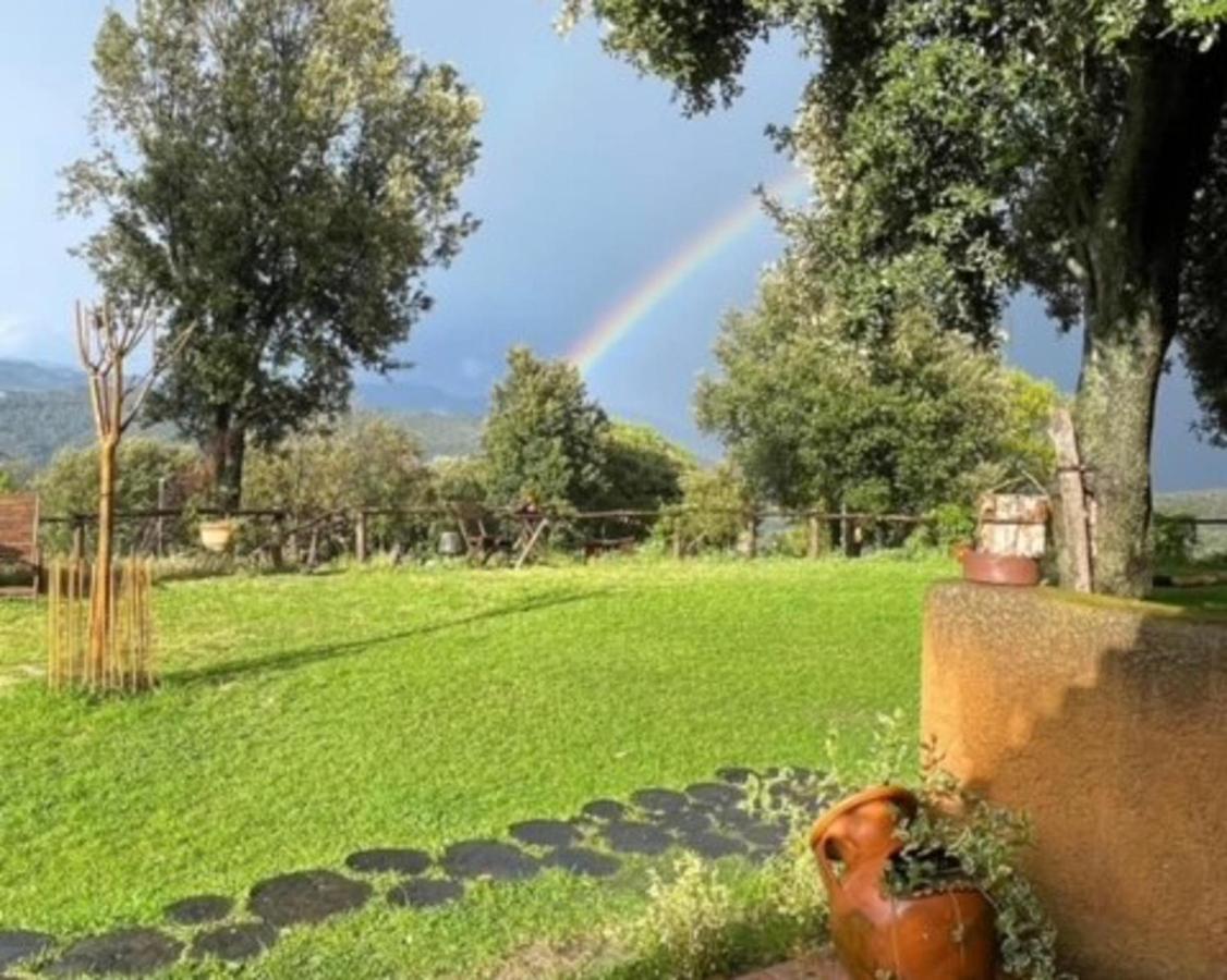 Aurora 2-Bed Cottage - Sleeps 4 - Montseny Park Arbúcies 외부 사진